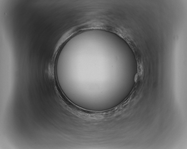 X0000111250004200907021440