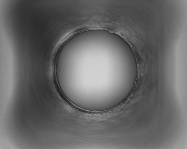 X0000111250005200907021440
