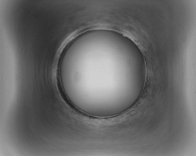 X0000111250007200907021440