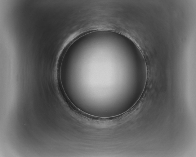 X0000111250008200907021440