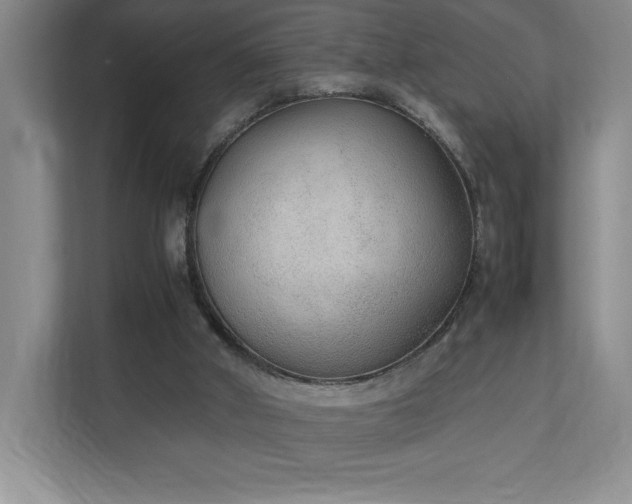 X0000111250010200907021440