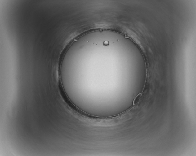 X0000111250011200907021440