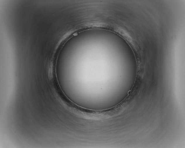 X0000111250012200907021440