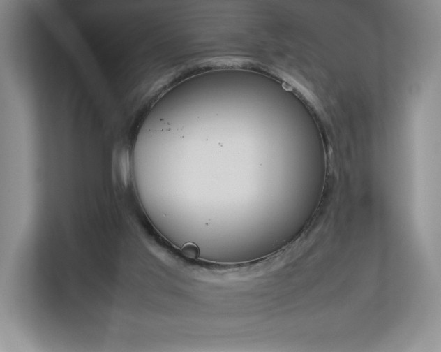 X0000111250013200907021440