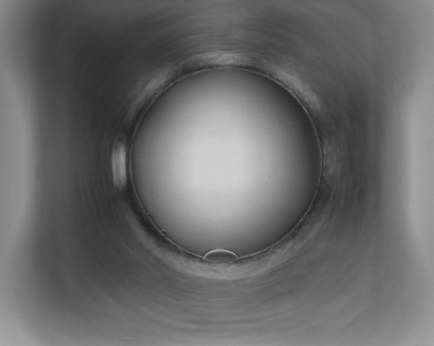 X0000111250014200907021440