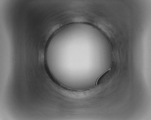 X0000111250015200907021440