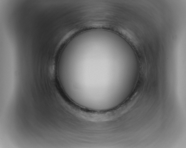 X0000111250016200907021440