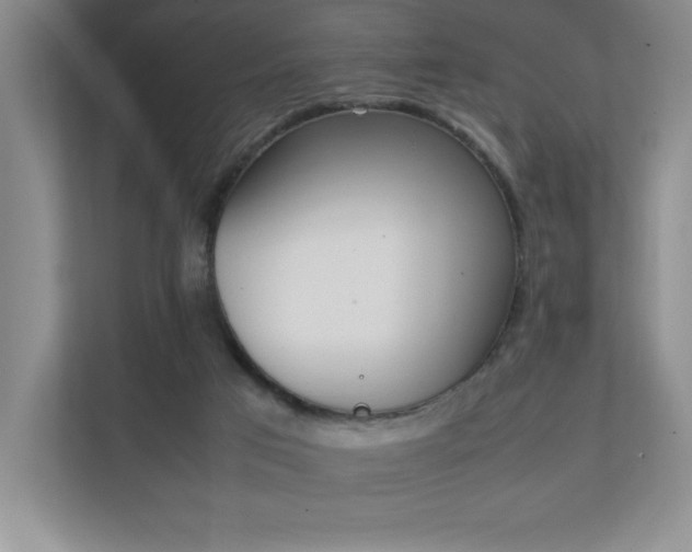 X0000111250017200907021440