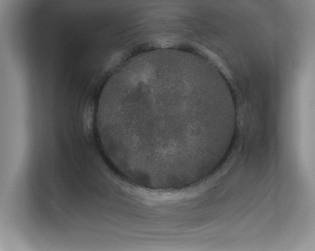 X0000111250018200907021440