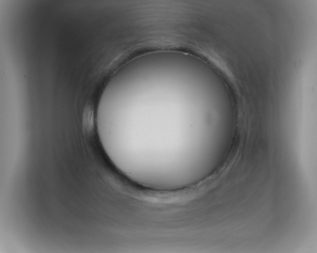 X0000111250021200907021440