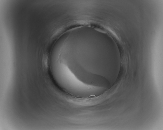 X0000111250023200907021440