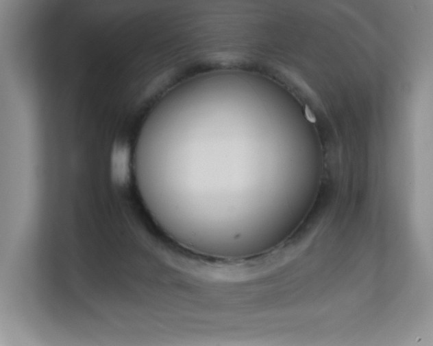 X0000111250024200907021440