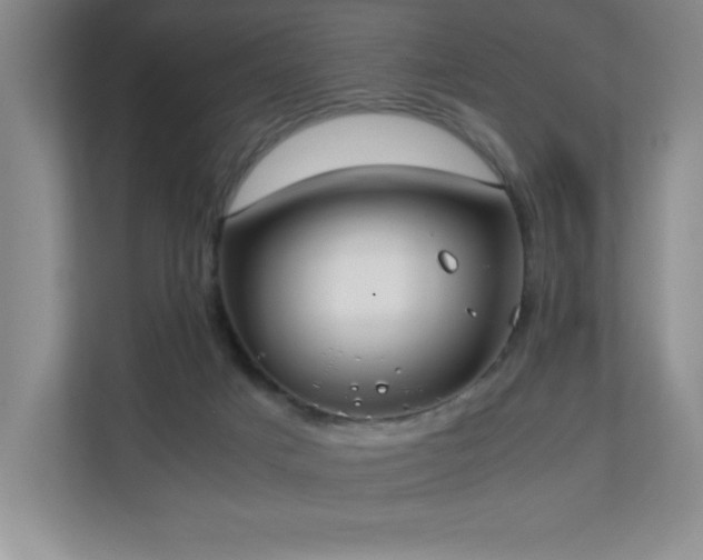 X0000111250025200907021440