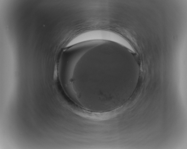 X0000111250027200907021440