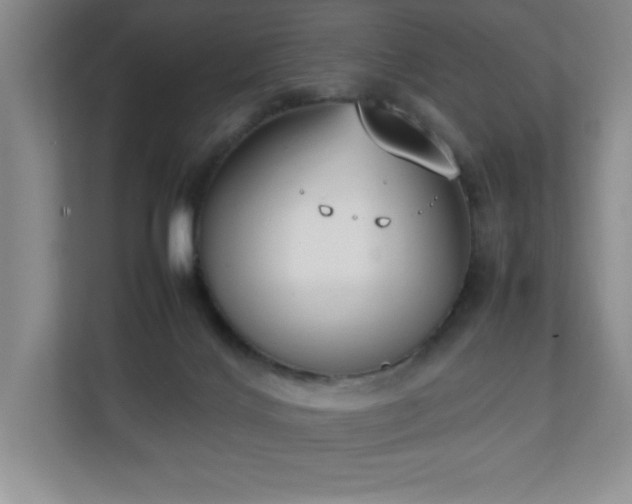 X0000111250028200907021440