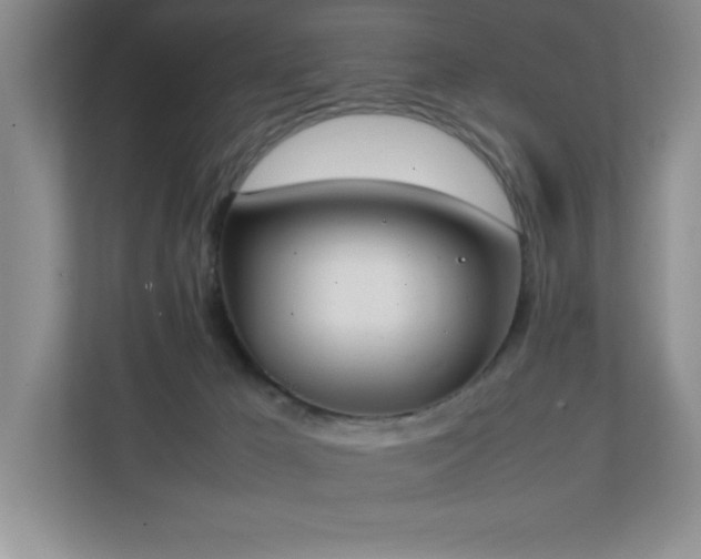 X0000111250029200907021440