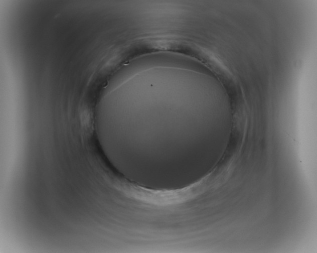 X0000111250031200907021440