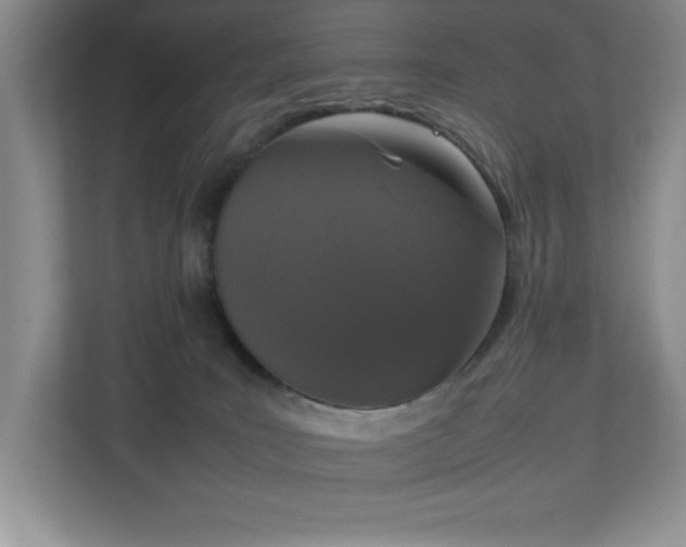 X0000111250035200907021440