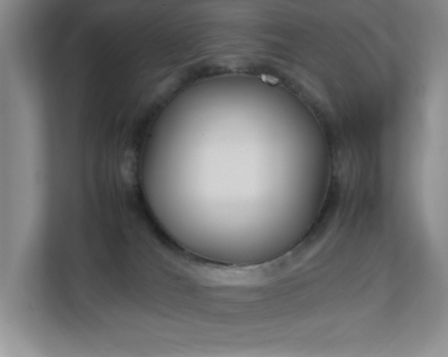 X0000111250036200907021440