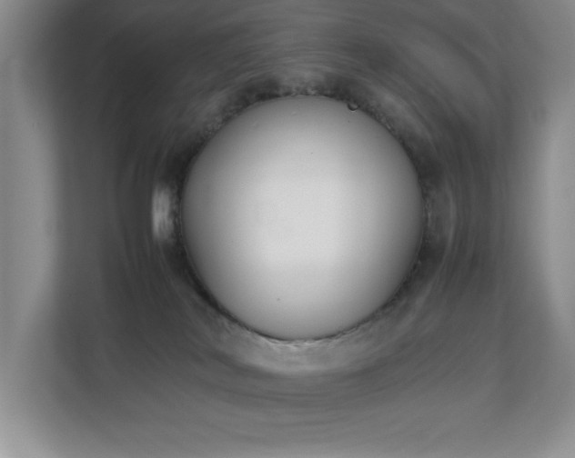 X0000111250038200907021440