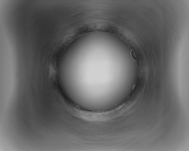 X0000111250040200907021440