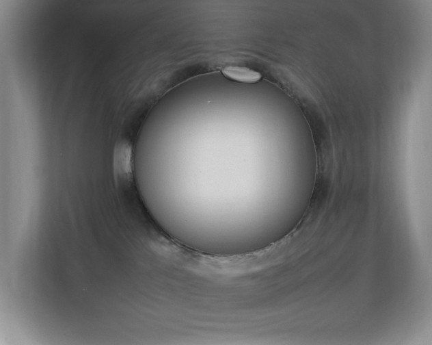 X0000111250041200907021440