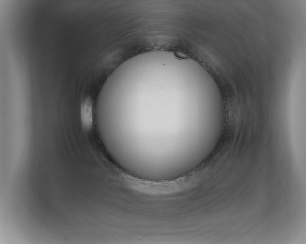 X0000111250042200907021440