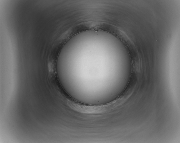 X0000111250044200907021440