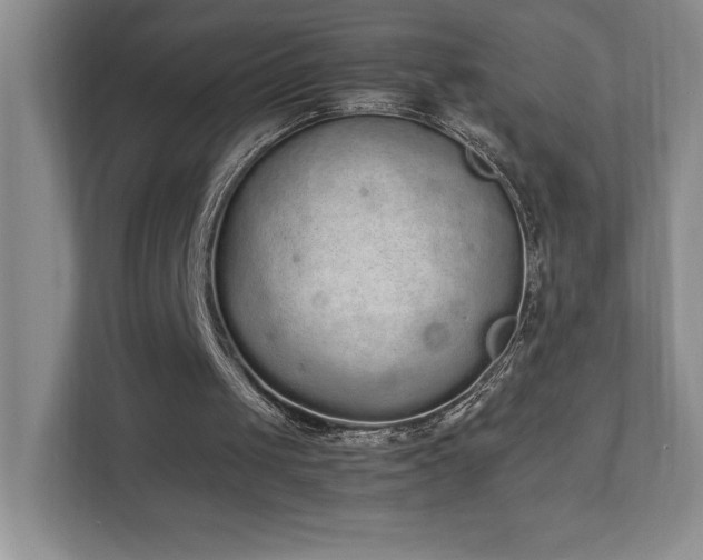 X0000111250049200907021439