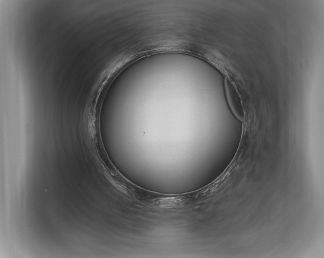 X0000111250050200907021439