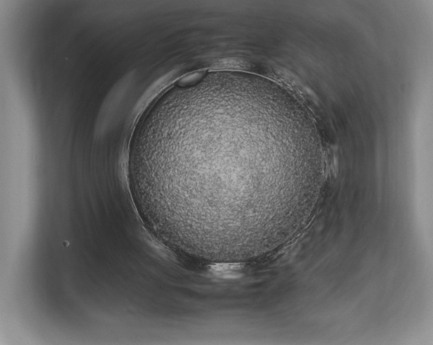 X0000111250051200907021439