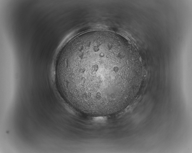 X0000111250053200907021439