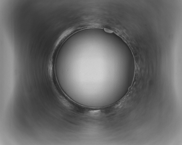 X0000111250054200907021439