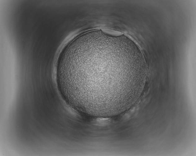 X0000111250055200907021439