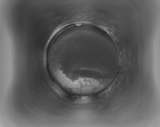 X0000111250056200907021439