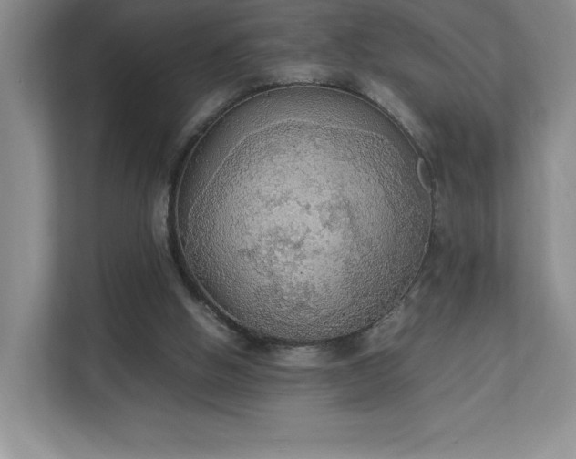 X0000111250058200907021439