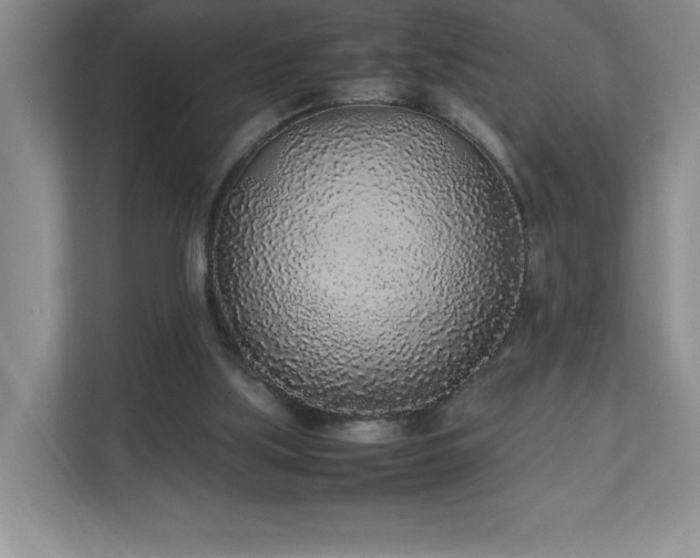 X0000111250059200907021439