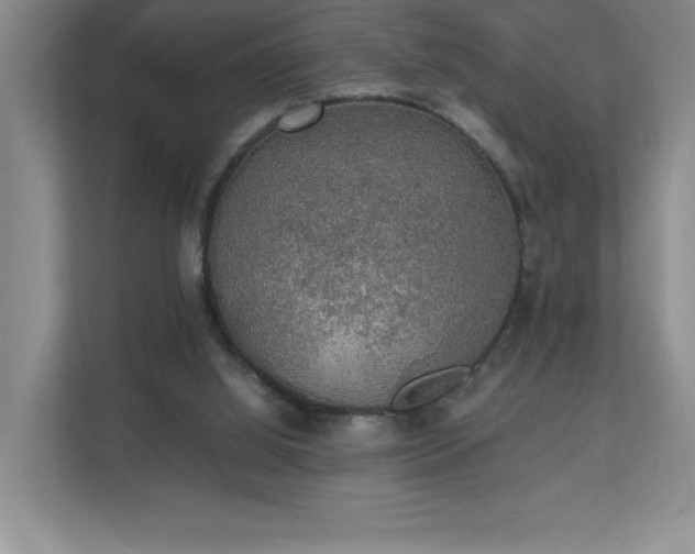 X0000111250060200907021439