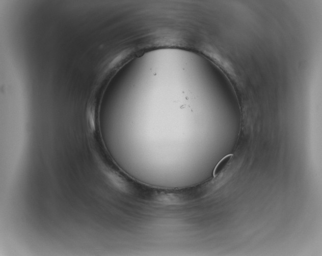 X0000111250062200907021439