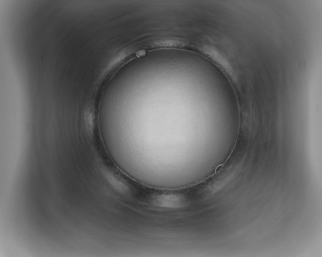 X0000111250063200907021439