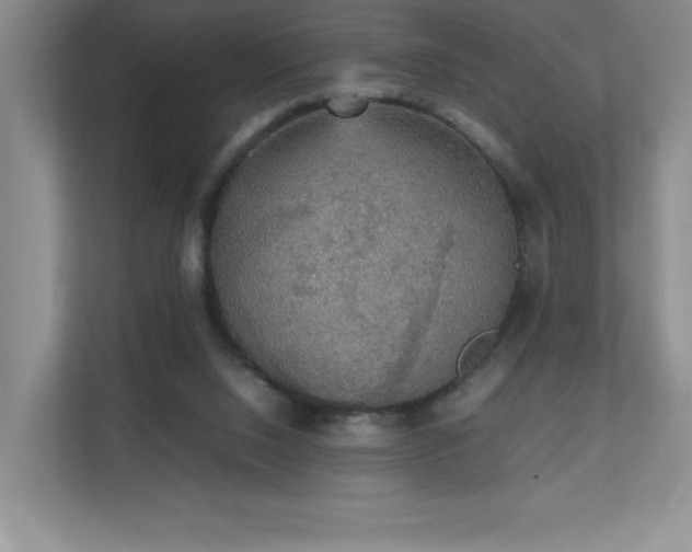 X0000111250064200907021439