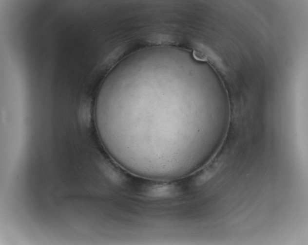 X0000111250065200907021439