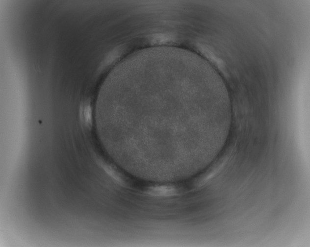 X0000111250067200907021439