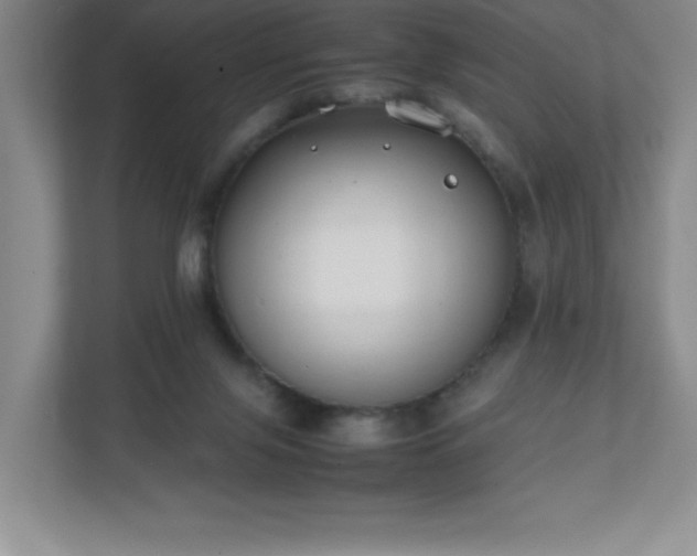 X0000111250071200907021439
