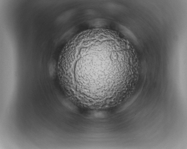 X0000111250073200907021439