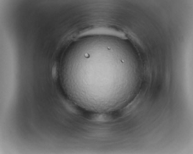 X0000111250074200907021439