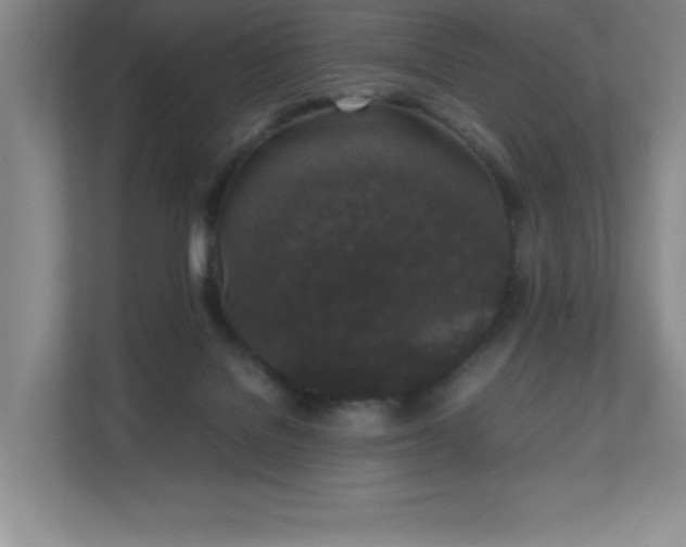 X0000111250076200907021439