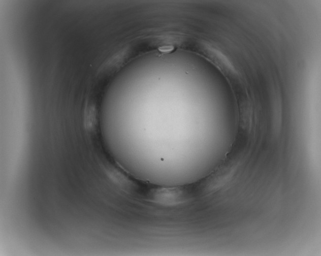X0000111250077200907021439
