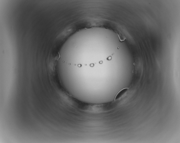 X0000111250078200907021440