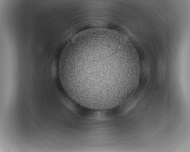 X0000111250080200907021440